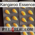 Kangaroo Essence cialis2